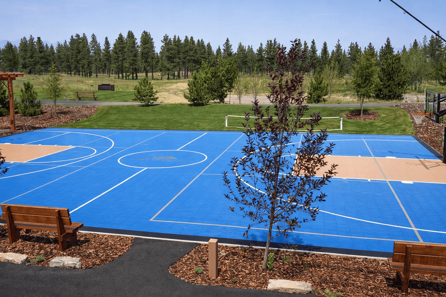 Outdoor sports court in woodland setting